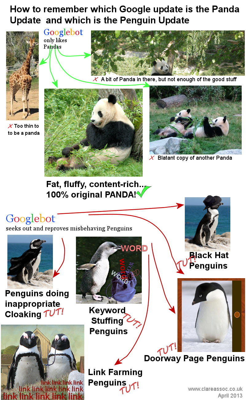 Panda or Penguin Google Update: Telling the Difference infographic