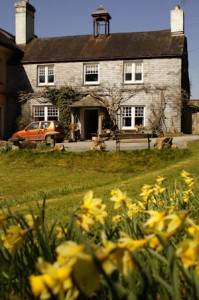 Nice daffs, good sky - shame about the Bright! Orange! Car!